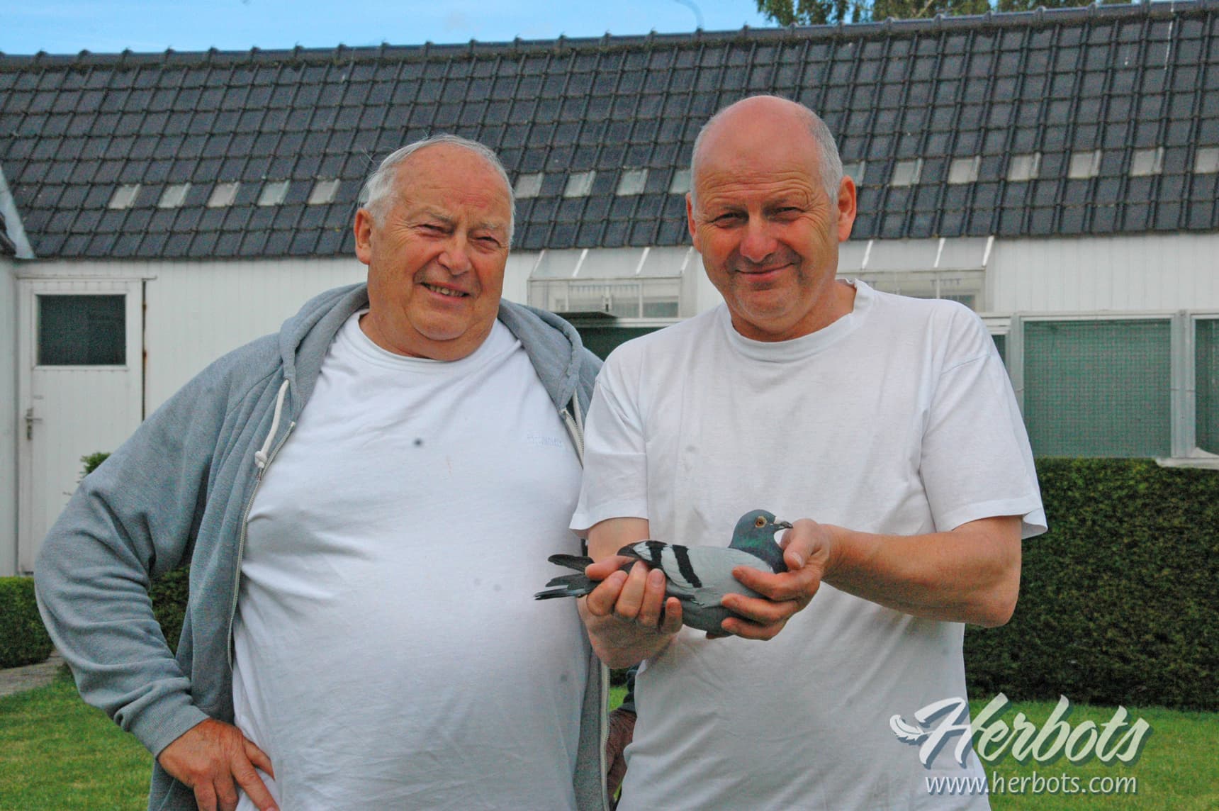 Freddy & Jacques Vandenheede (Kruisem) win 1st Prov. Limoges 3.017 old birds East Flanders