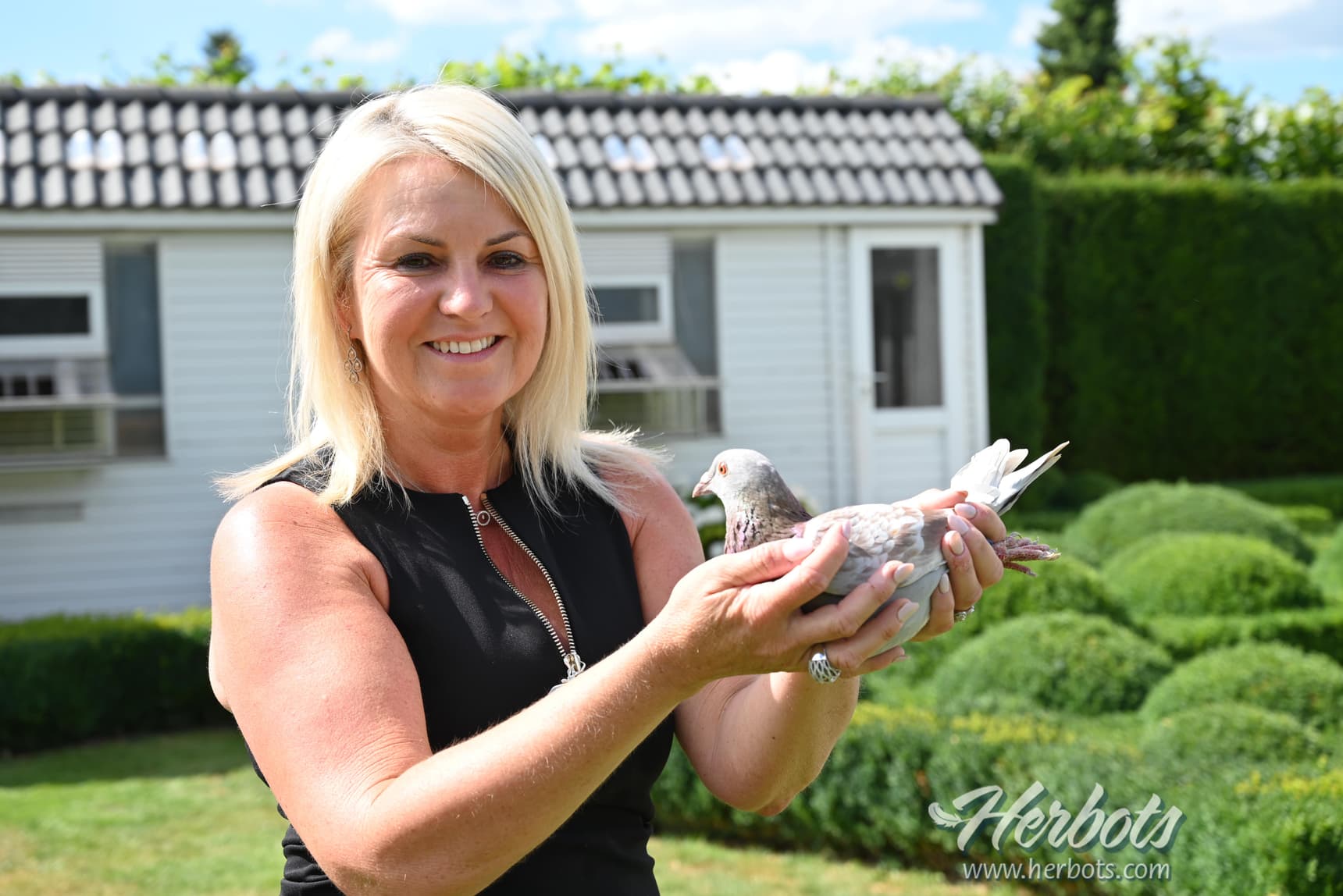 Annemie Vanhee (Wervik) 1st National ace KBDB ½ Fond young birds - 1st National Tulle '22 - fastest 16,605b.