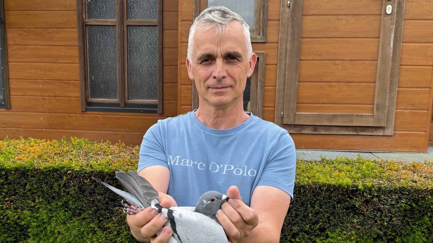 Pigeon Bids Marc Vanonckelen