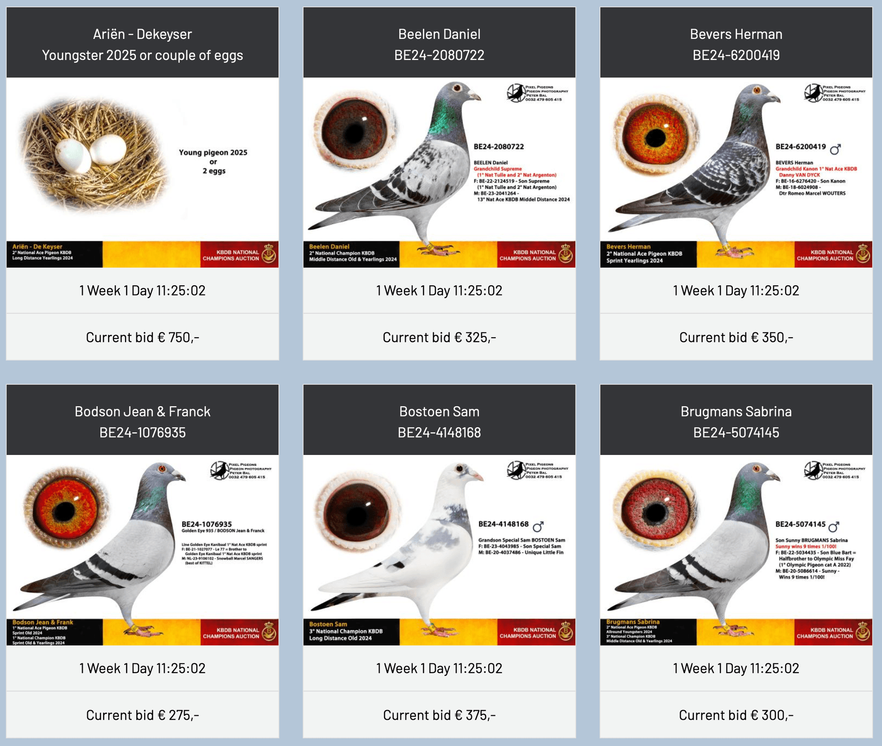 2024 National Champions Auction KBDB/RFCB
