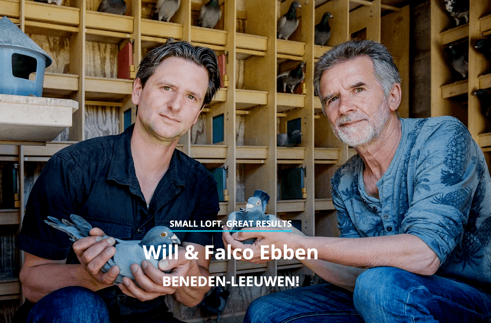 Falco Ebben, 1st Provincial Chimay 9,227 pigeons with Pandemic!