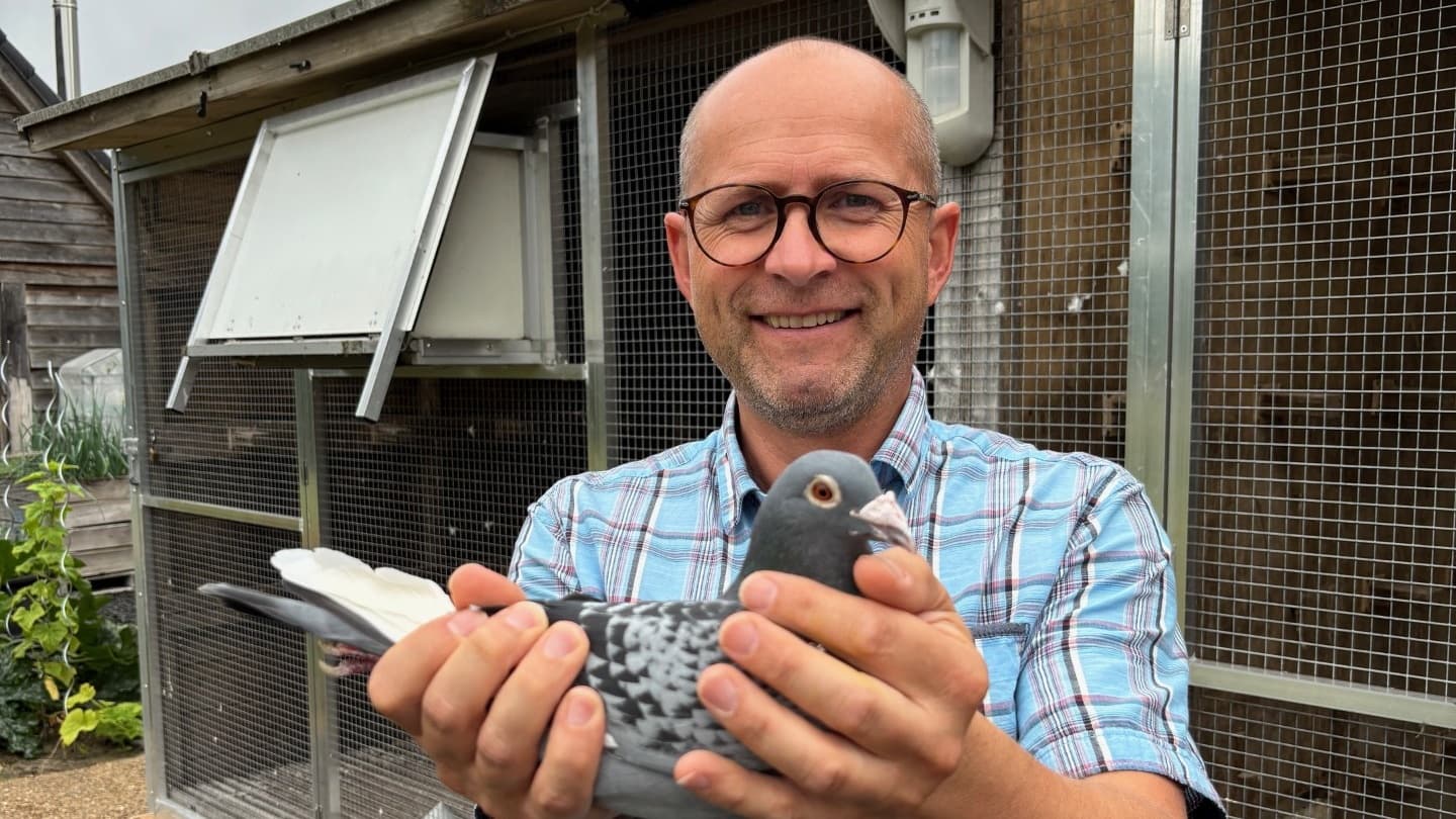 Top rankings and a golden line: Martin de Poorter continues to excel