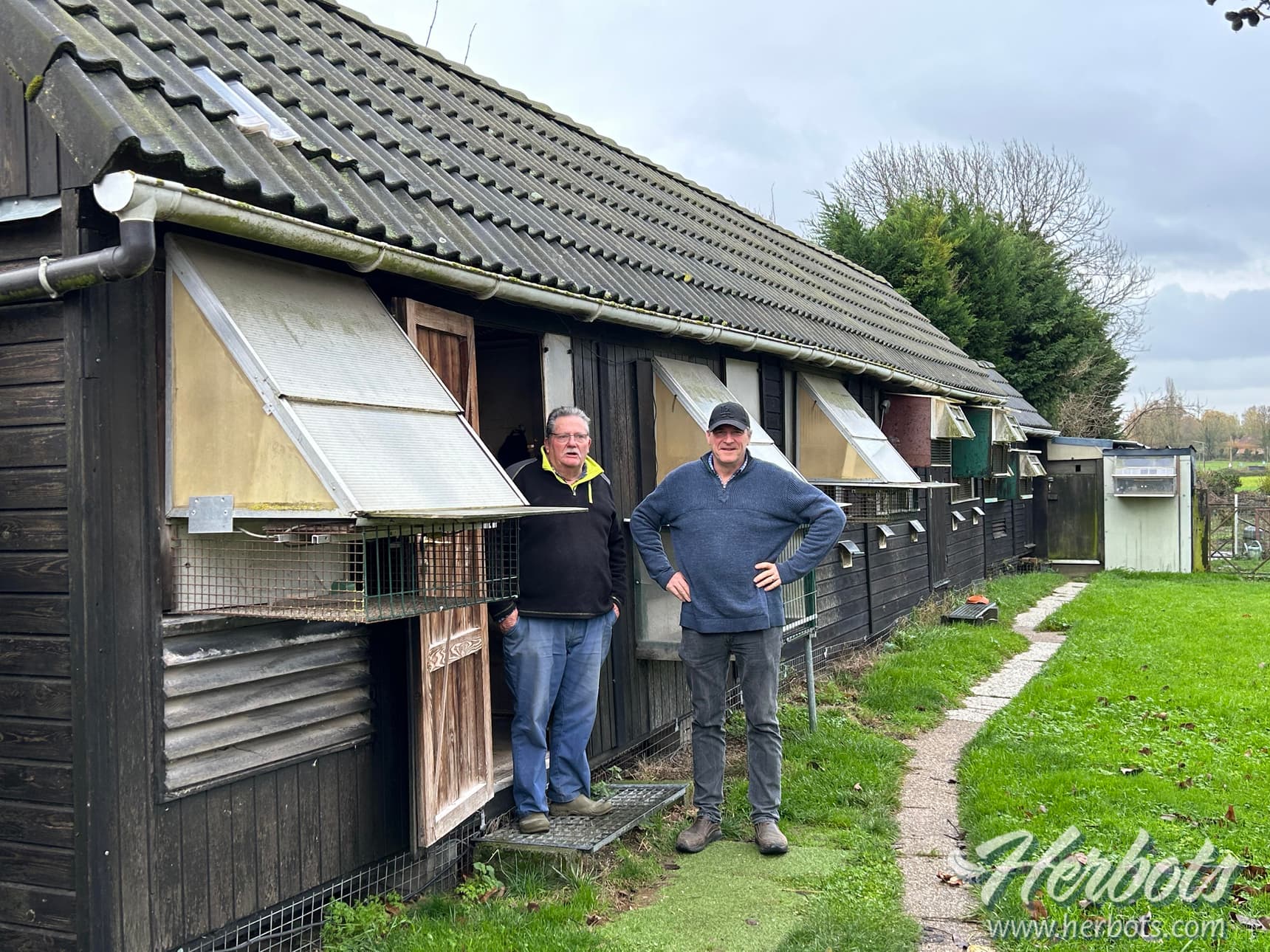 "SUPER FRANKY" from Georges Herman-Van Dist, 1st National Ace Pigeon Long Distance France 2025
