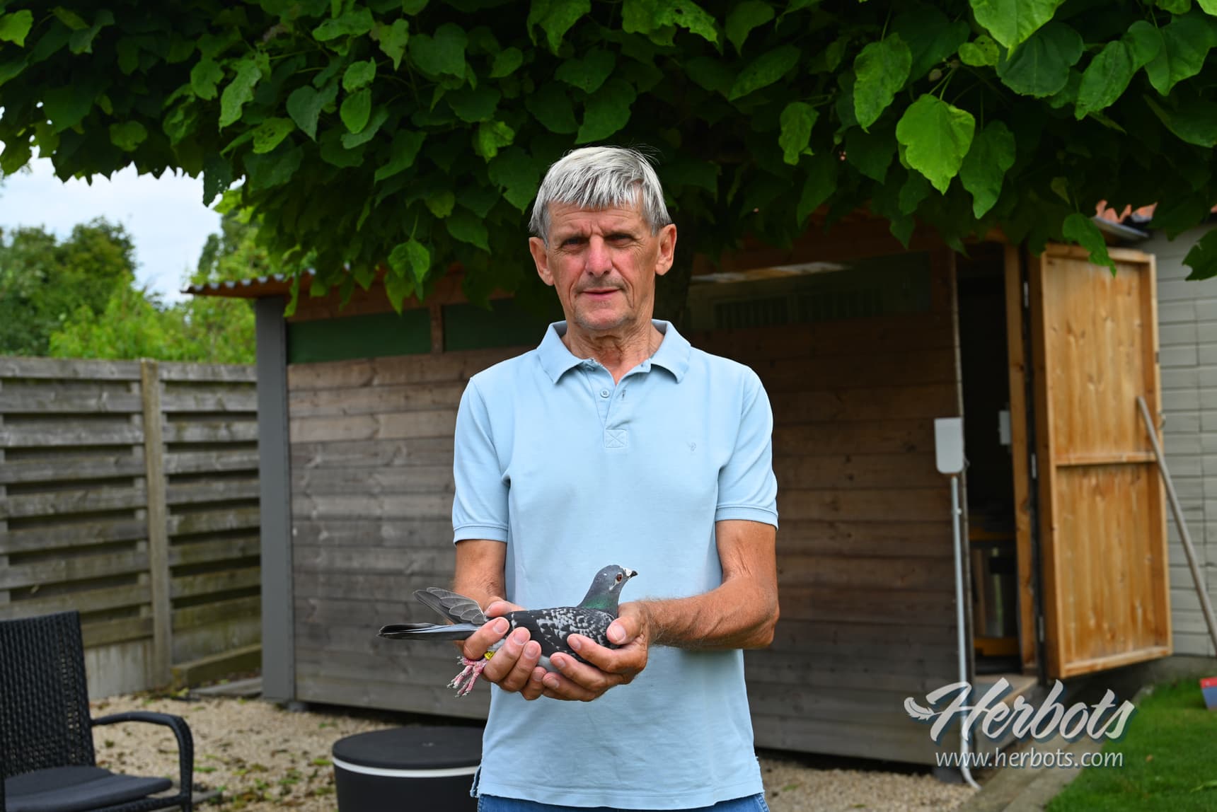 Thys Nick & Roger - Hallaar: 1e Nationaal Sancoins 9.582 oude duiven