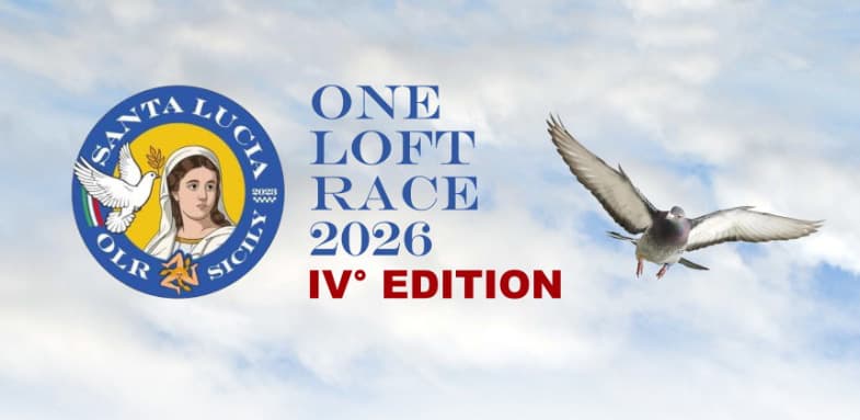 One Loft Santa Lucia Italie