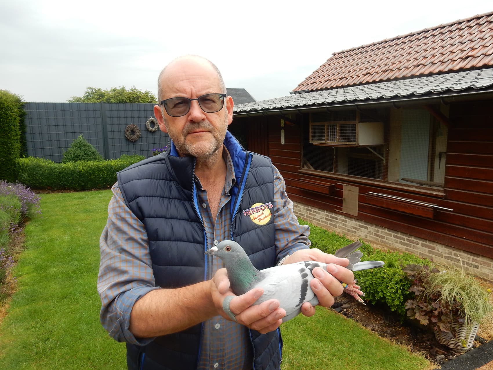 Frank Neven wins the 1st prize on Chimay against 3.222 pigeons and fastest of 4.571 pigeons