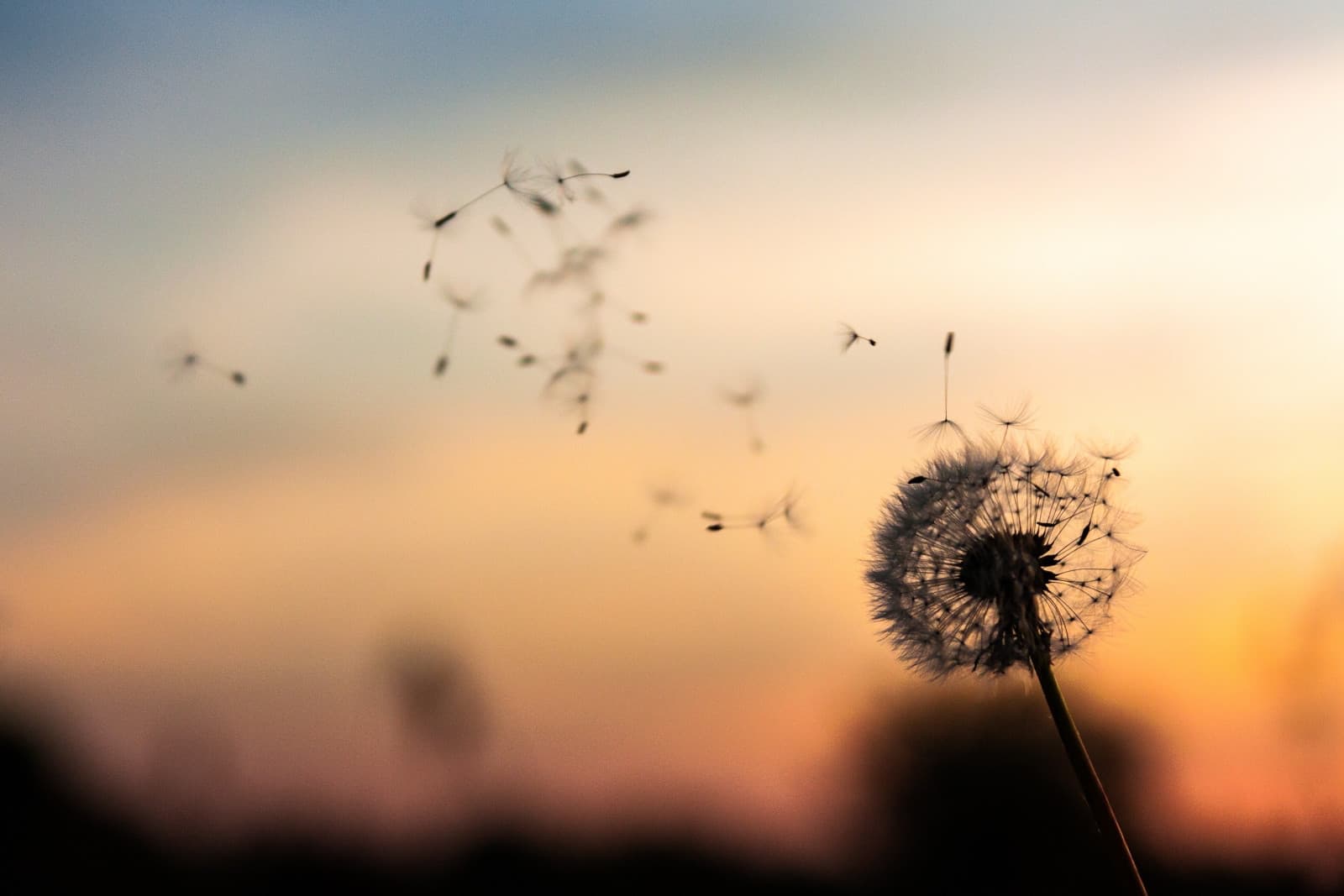 We vernemen het heengaan van Deliège Jan