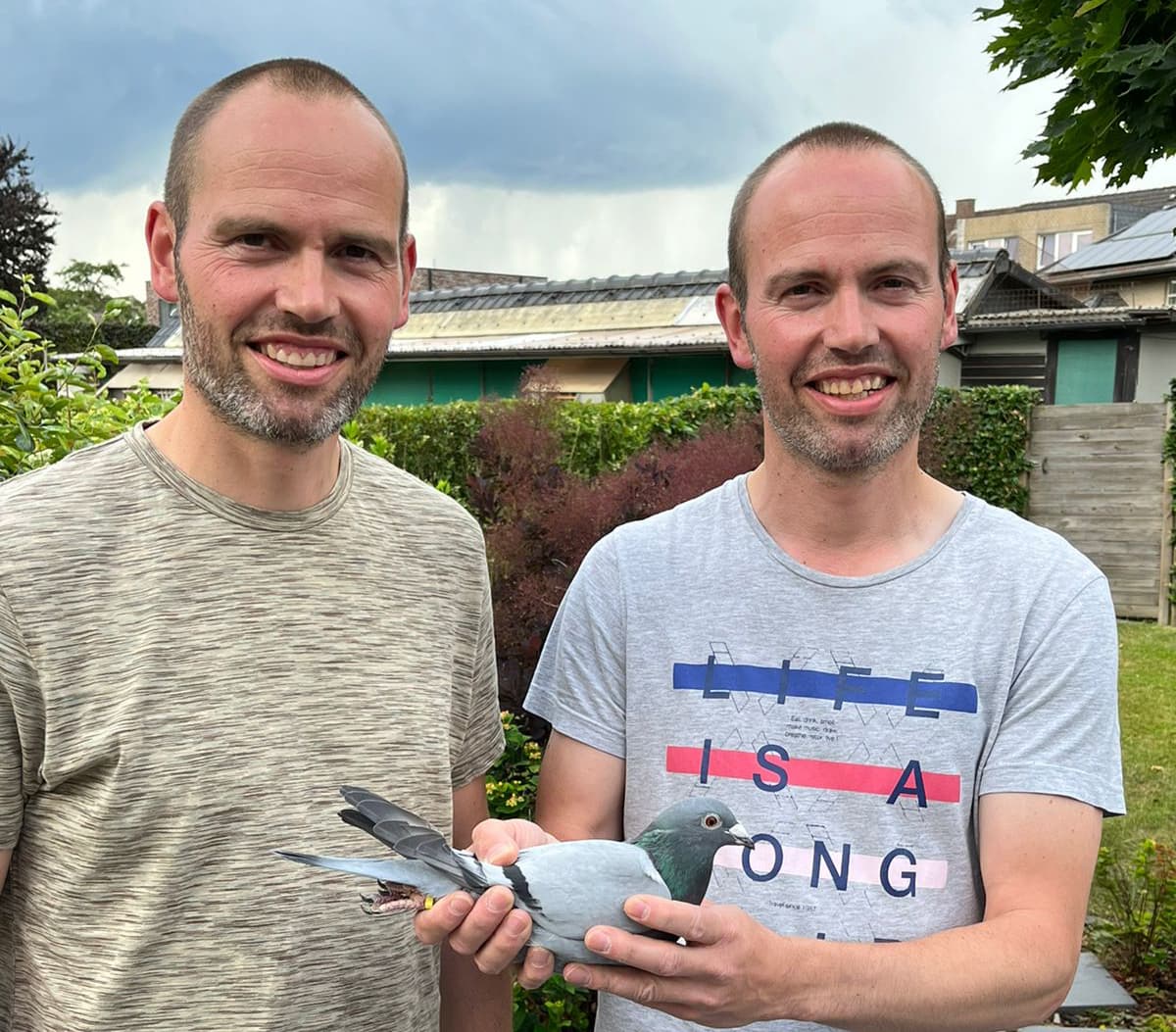 Platteau Tom en Ante Meer dan 60 x 1e prijs in het seizoen 2023 4e Nationale asduif KBDB Snelheid jaarse 2023