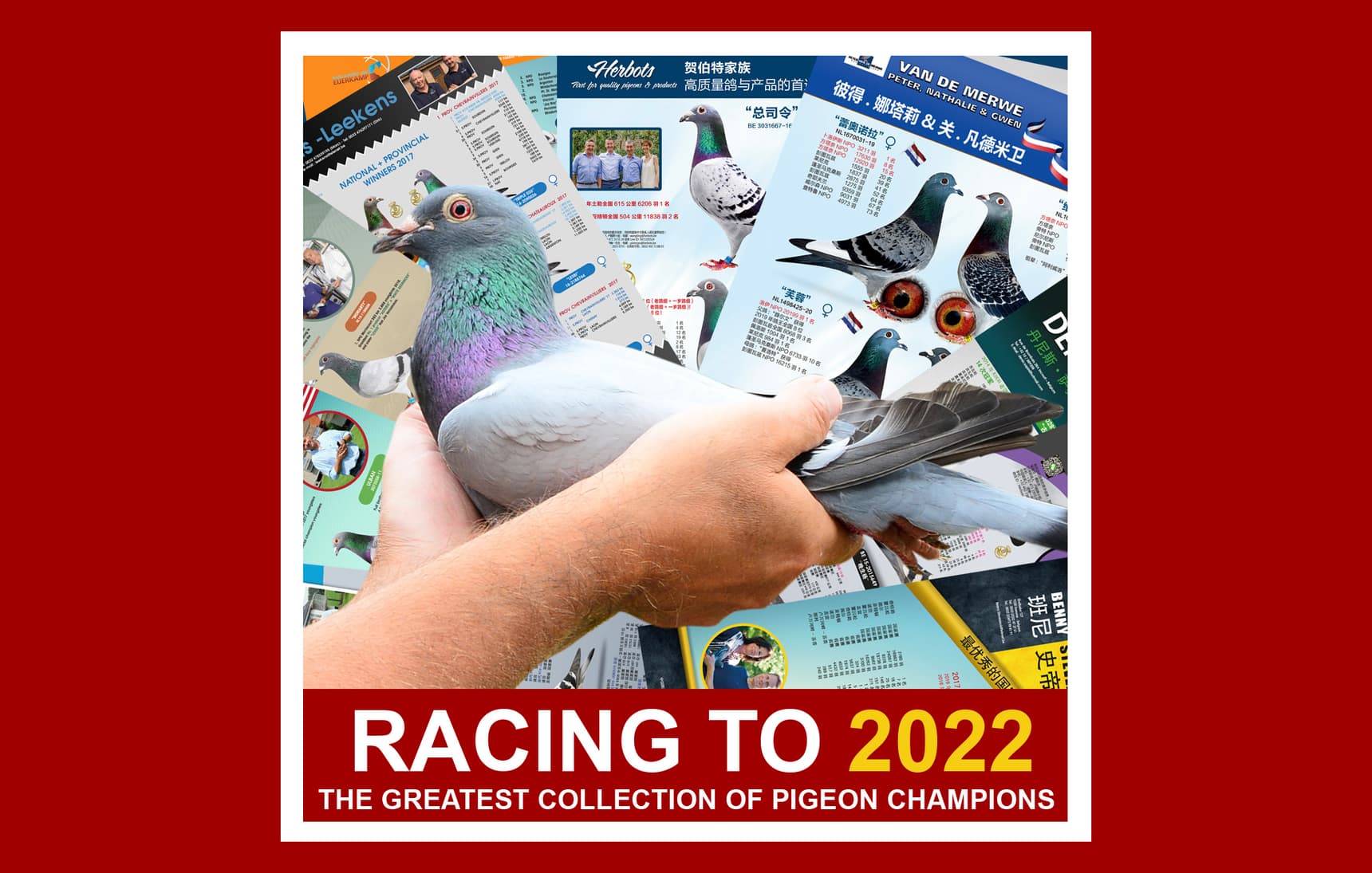 Invitation to participate in our brochure "Racing To 2022"