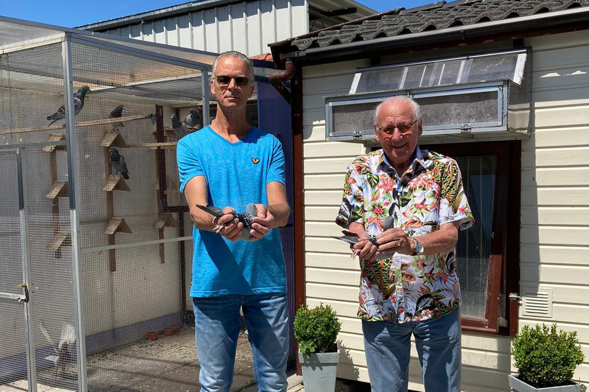 Combination van der Meer-Plomp 'S-Gravenzande wins heavy Issoudun 10850 pigeons