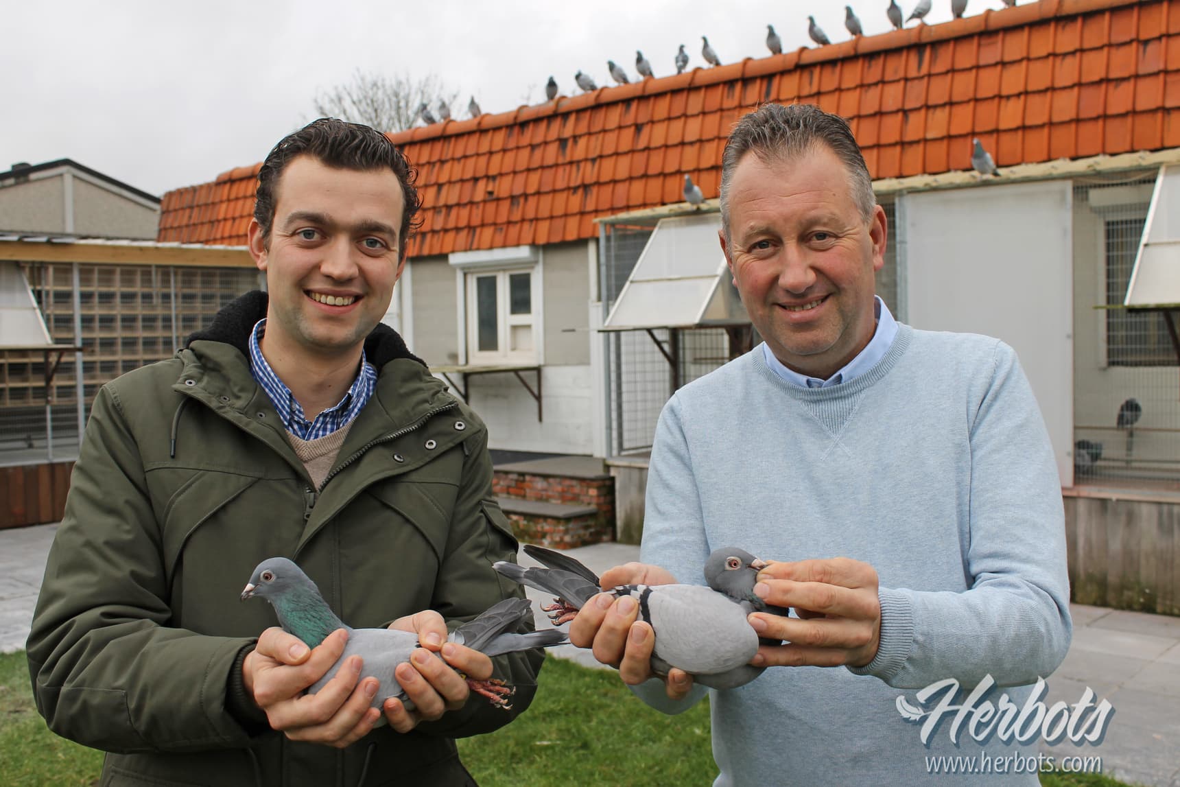 Pigeon Bids Gino Clicque