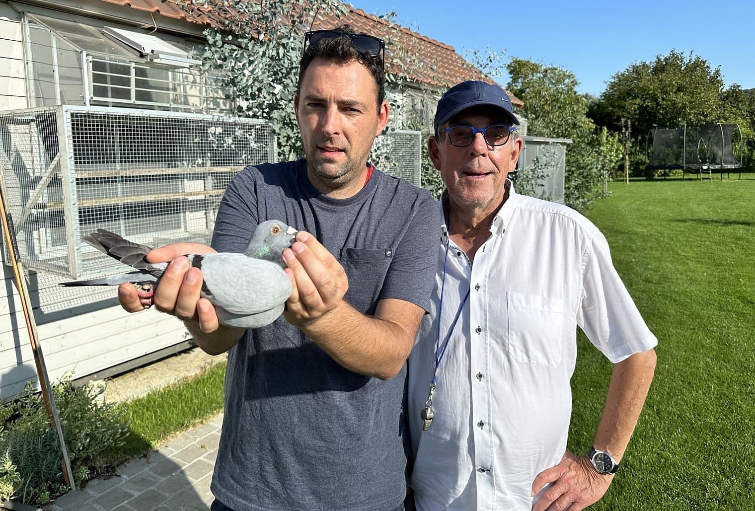 Pigeon Bids Eddy & Maarten Leutenez: "New Oscar" special