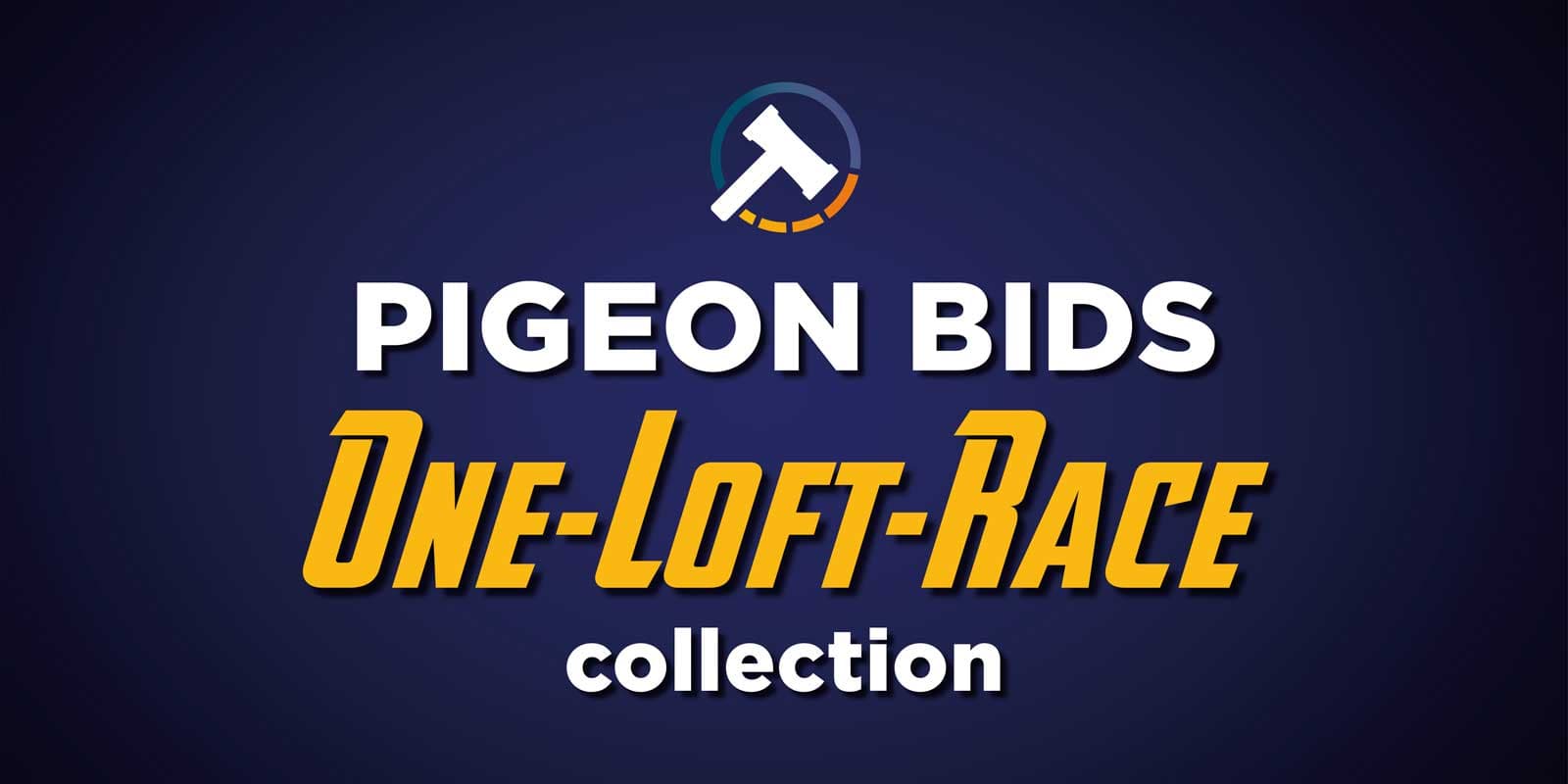 Pigeon Bids One-Loft-Race collection - Part 2