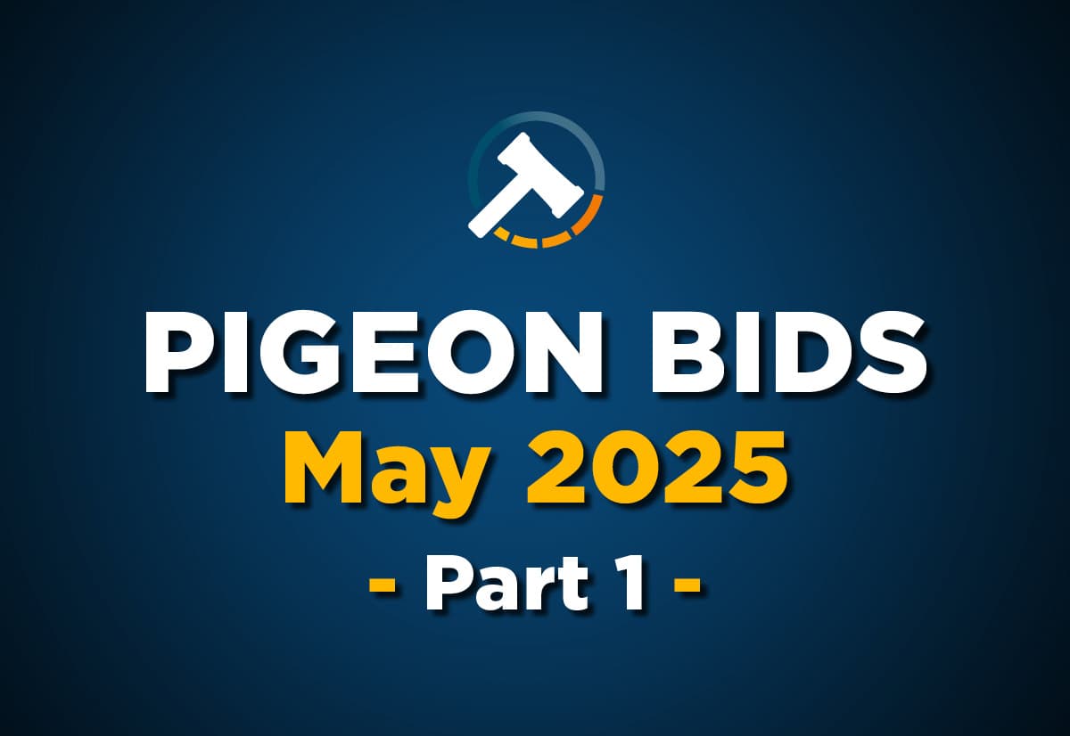 Pigeon Bids May 2025 - Part 1