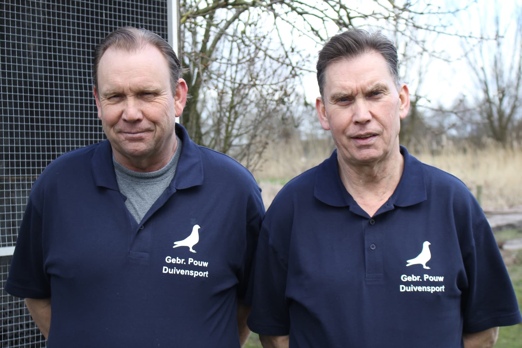 Pigeon Bids Pouw Gebroeders