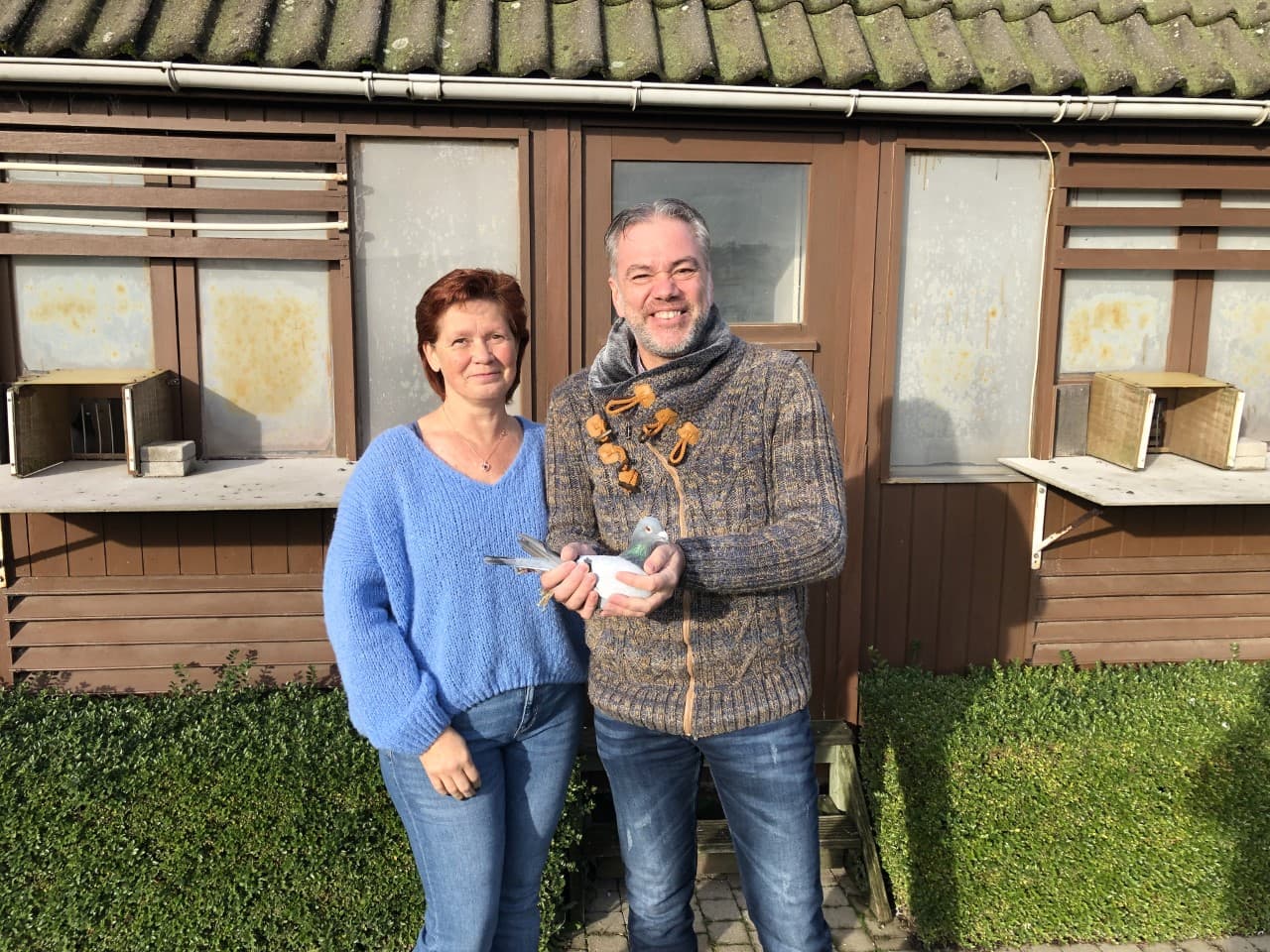 Pigeon Bids Rino Verheye