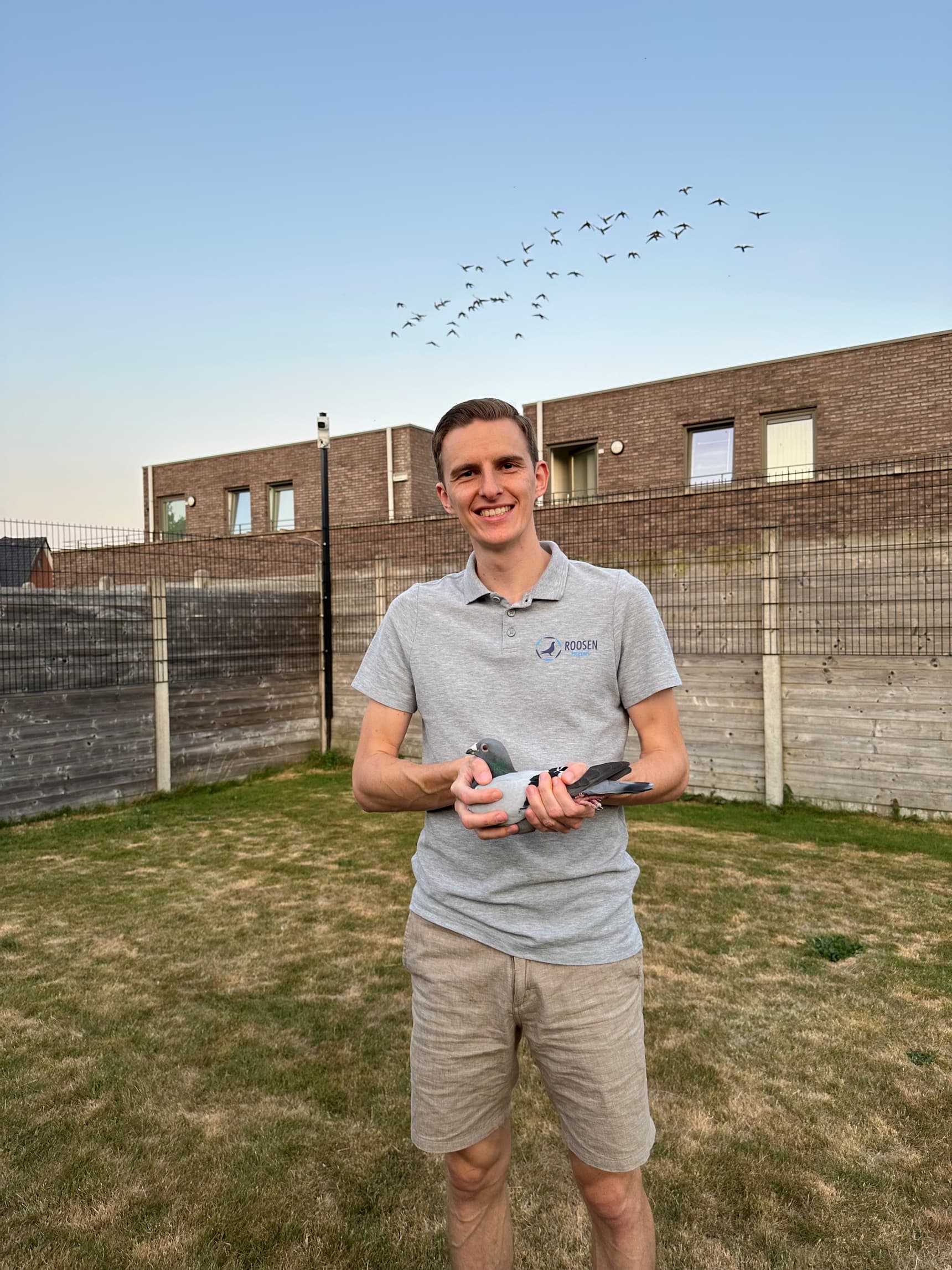 Pigeon Bids Roosen Daan March 2026