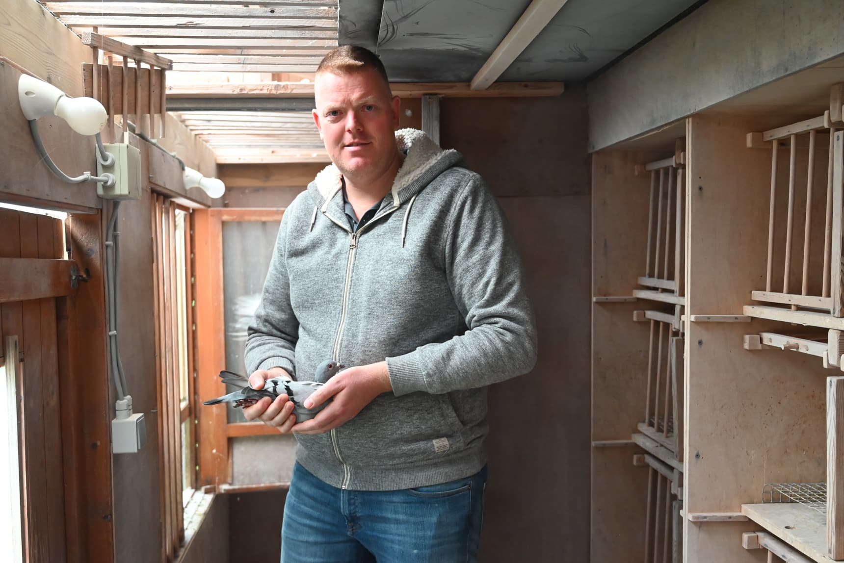 Pigeon Bids Van Gastel Kevin - Brecht - Part III