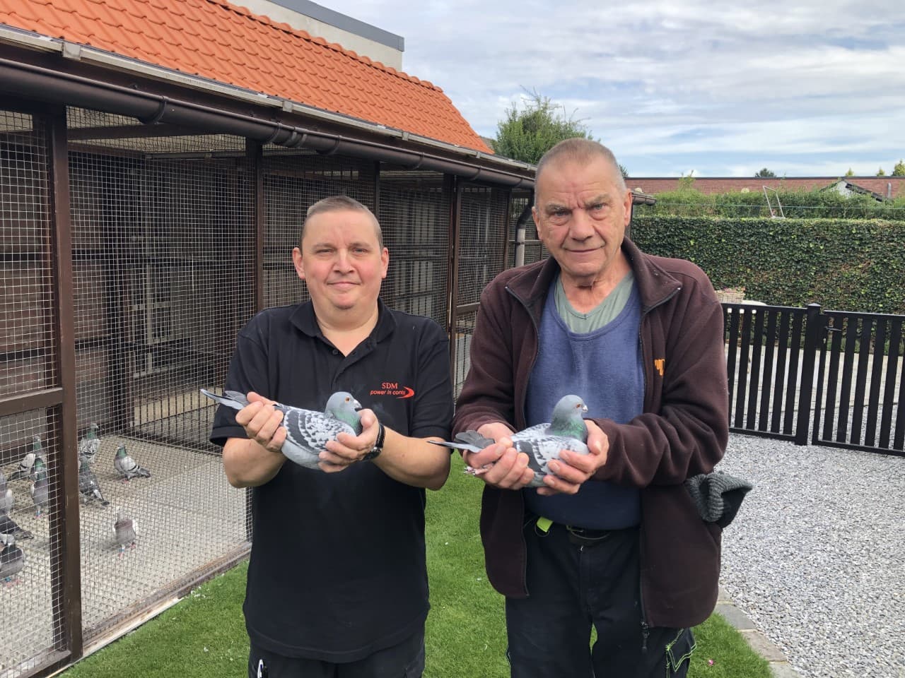 Pigeon Bids Albert & Michel Willems