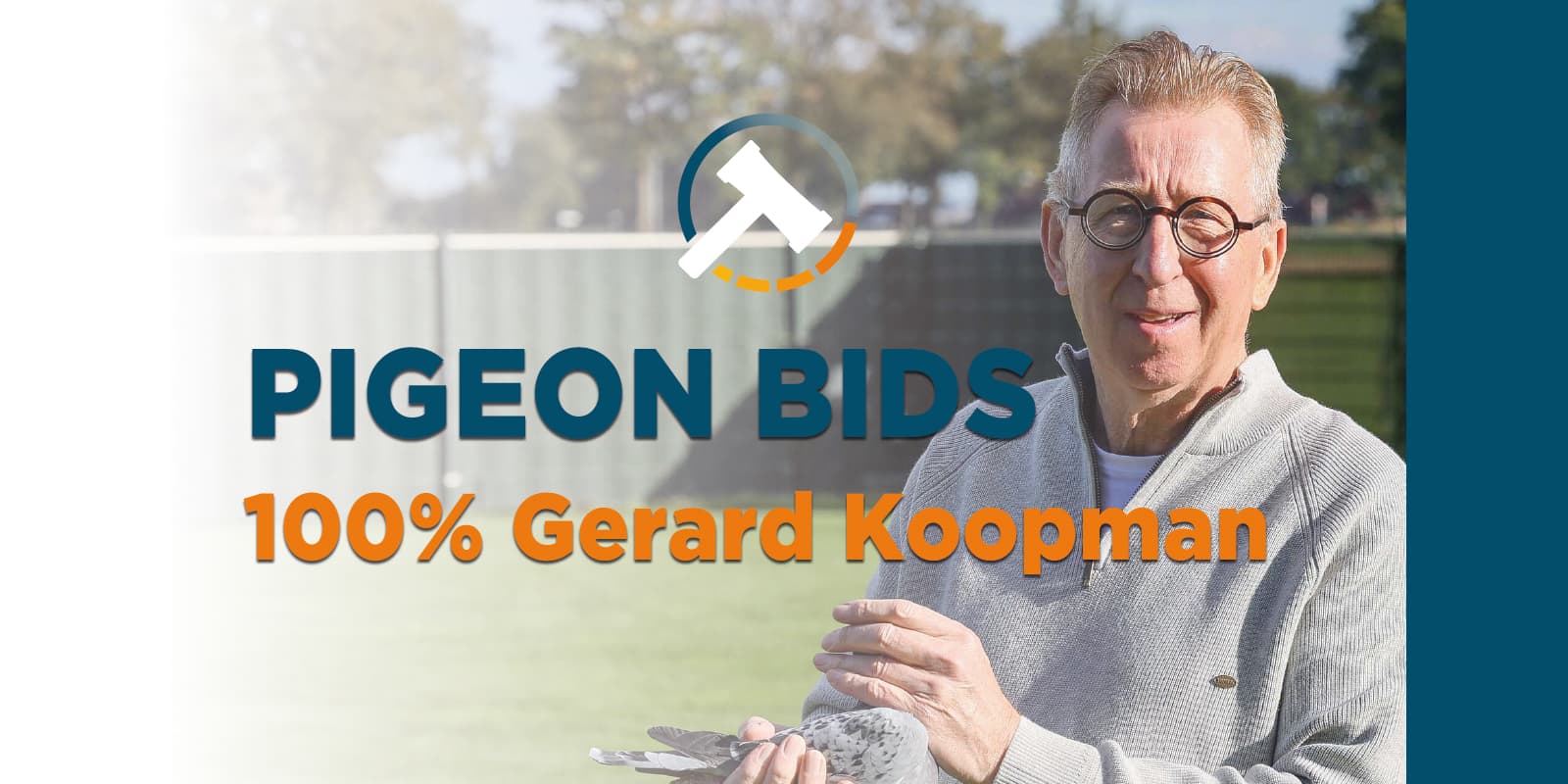 Pigeon Bids „ZUMDIEK PIGEONS… The Best Of Koopman“