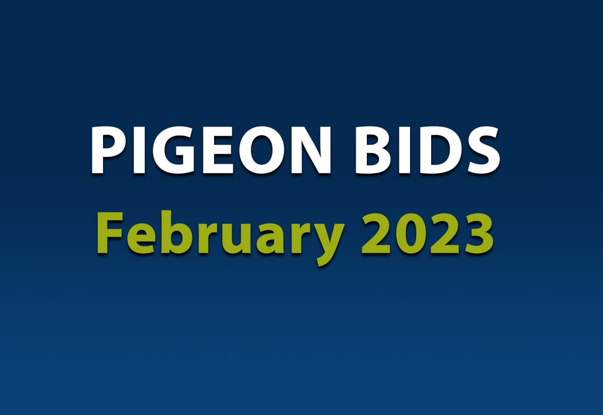 Pigeon Bids February 2023