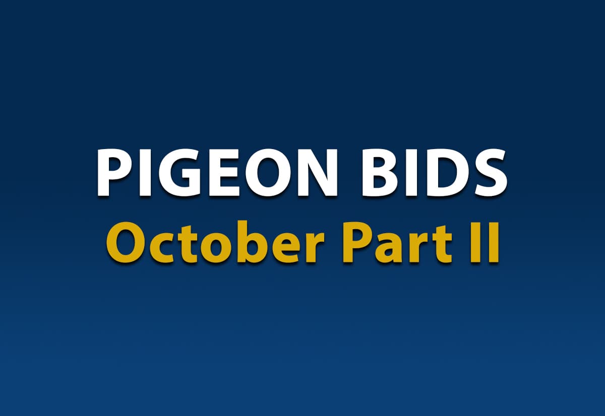Pigeon Bids October II