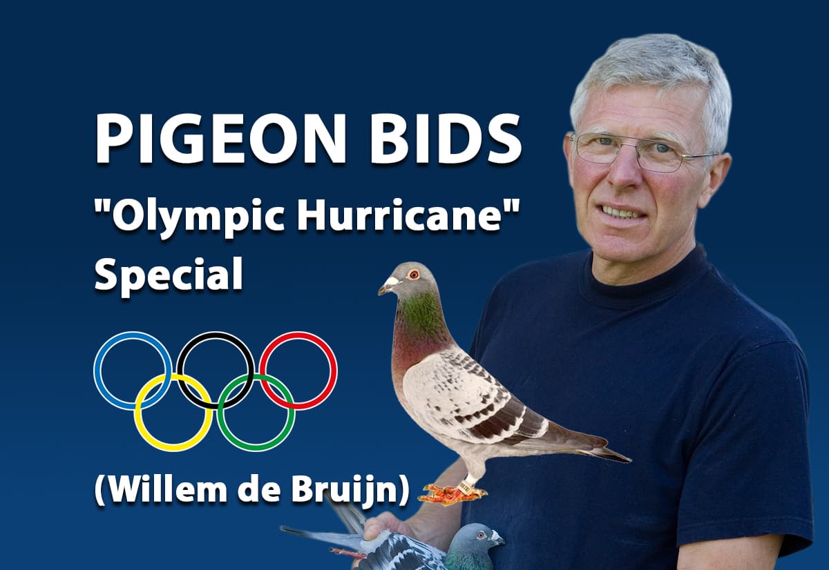 Pigeon Bids "Olympic Hurricane" Special