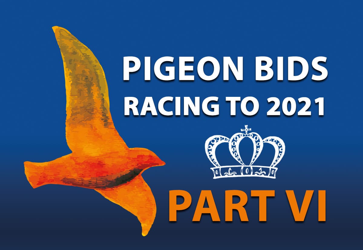 欧洲冠军鸽舍大全2021 第6场网络限时拍卖会