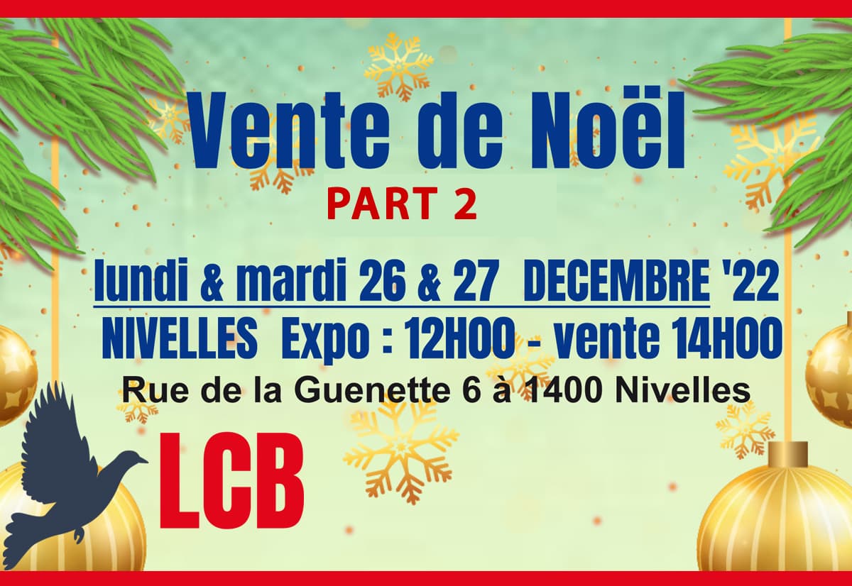 Public auction: Christmas auction - Part 2