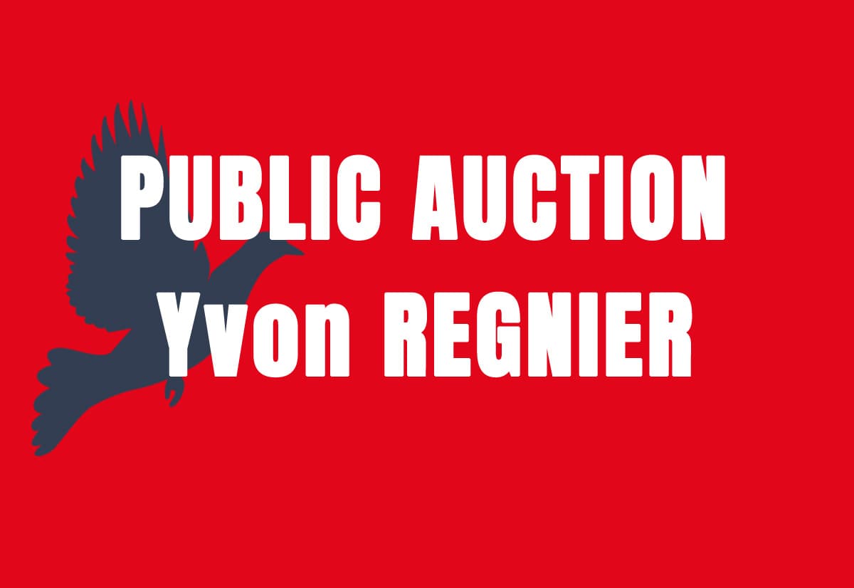 Publieke Verkoping: Yvon REGNIER