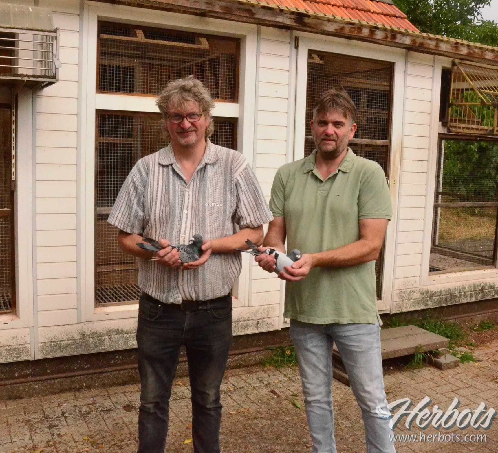 Boonen Pigeons, Buggenum – Top class on the extreme long distance year after year