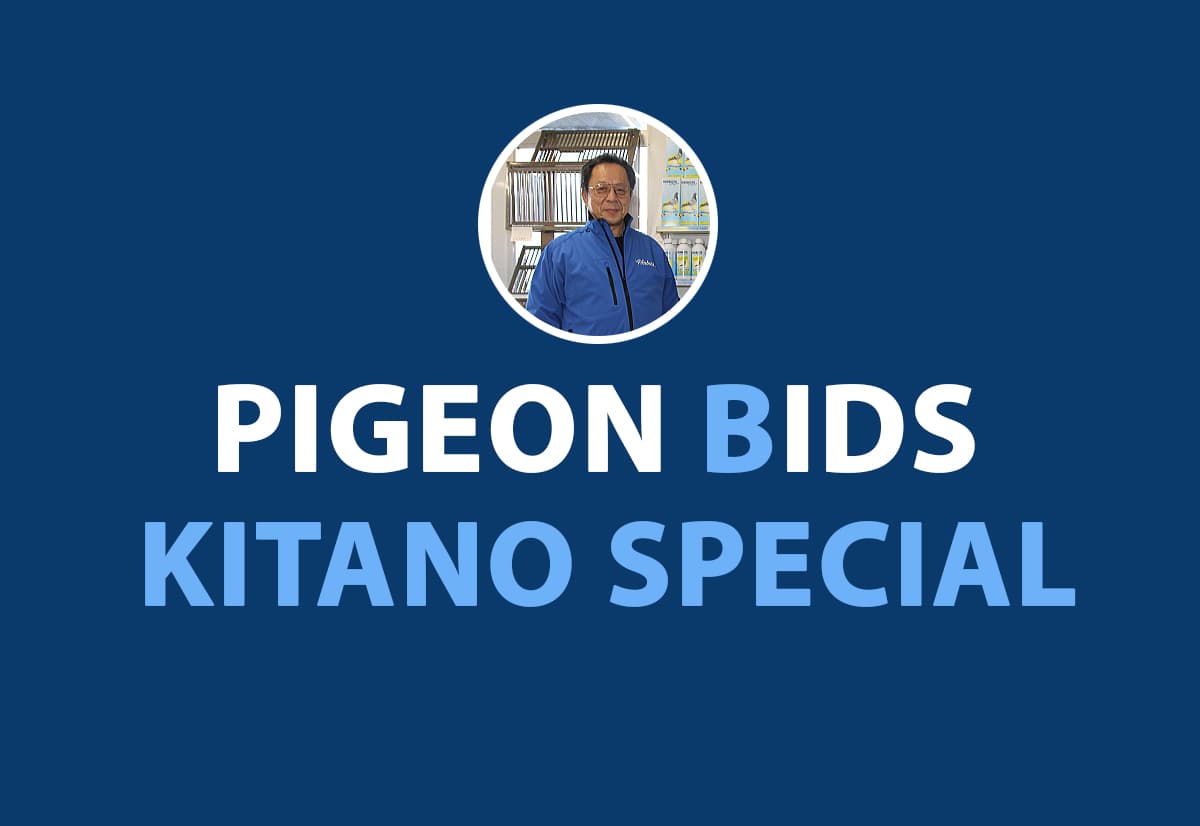 Kitano Special