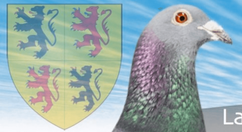 AWC Résultats provisoires Inter Provincial Petit 1/2 Fond 2023