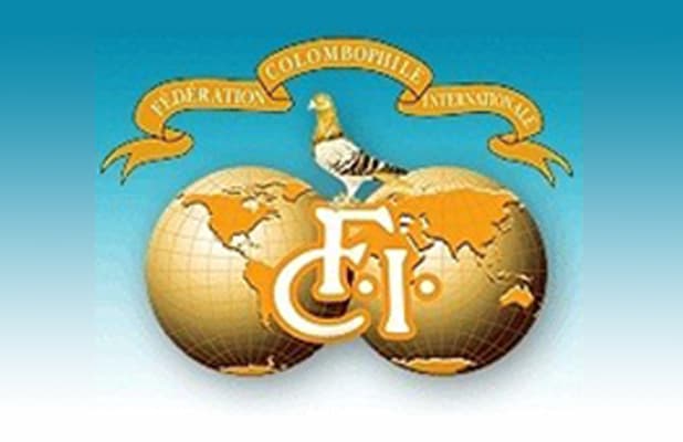 Pigeon Bids FCI : Part II