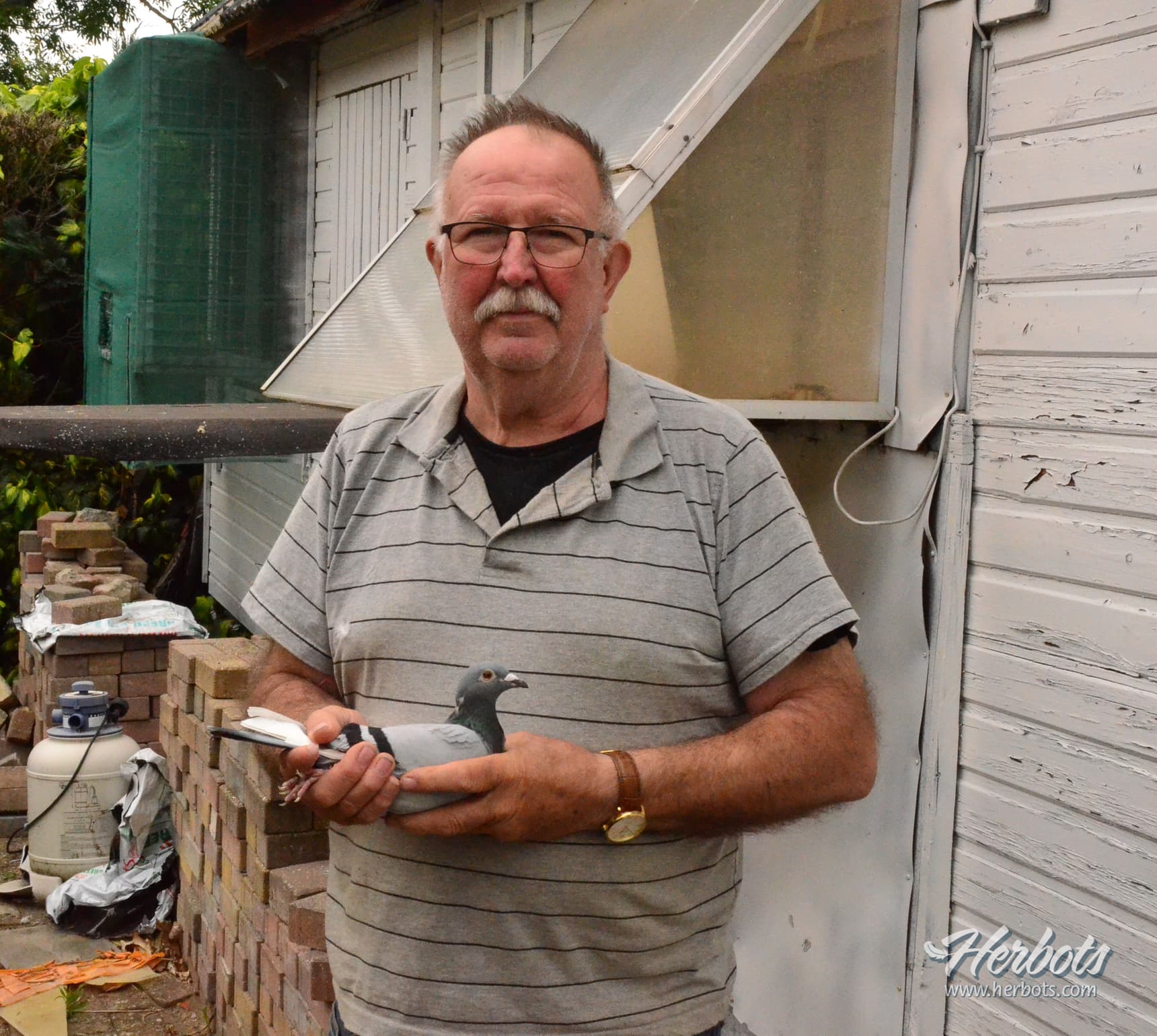 LOUIS VERHEYEN UIT SCHERPENHEUVEL