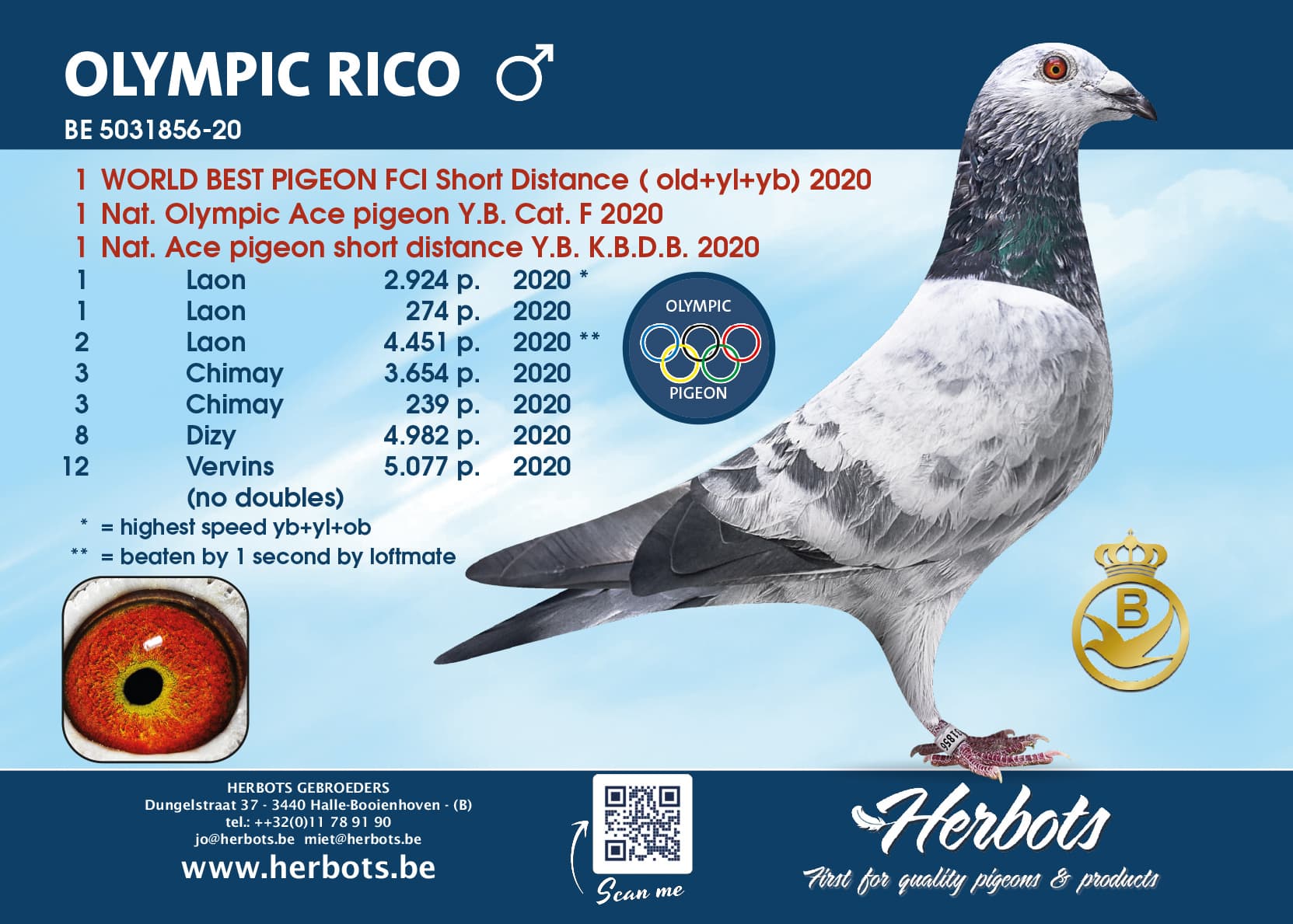 World Best Pigeon 2020