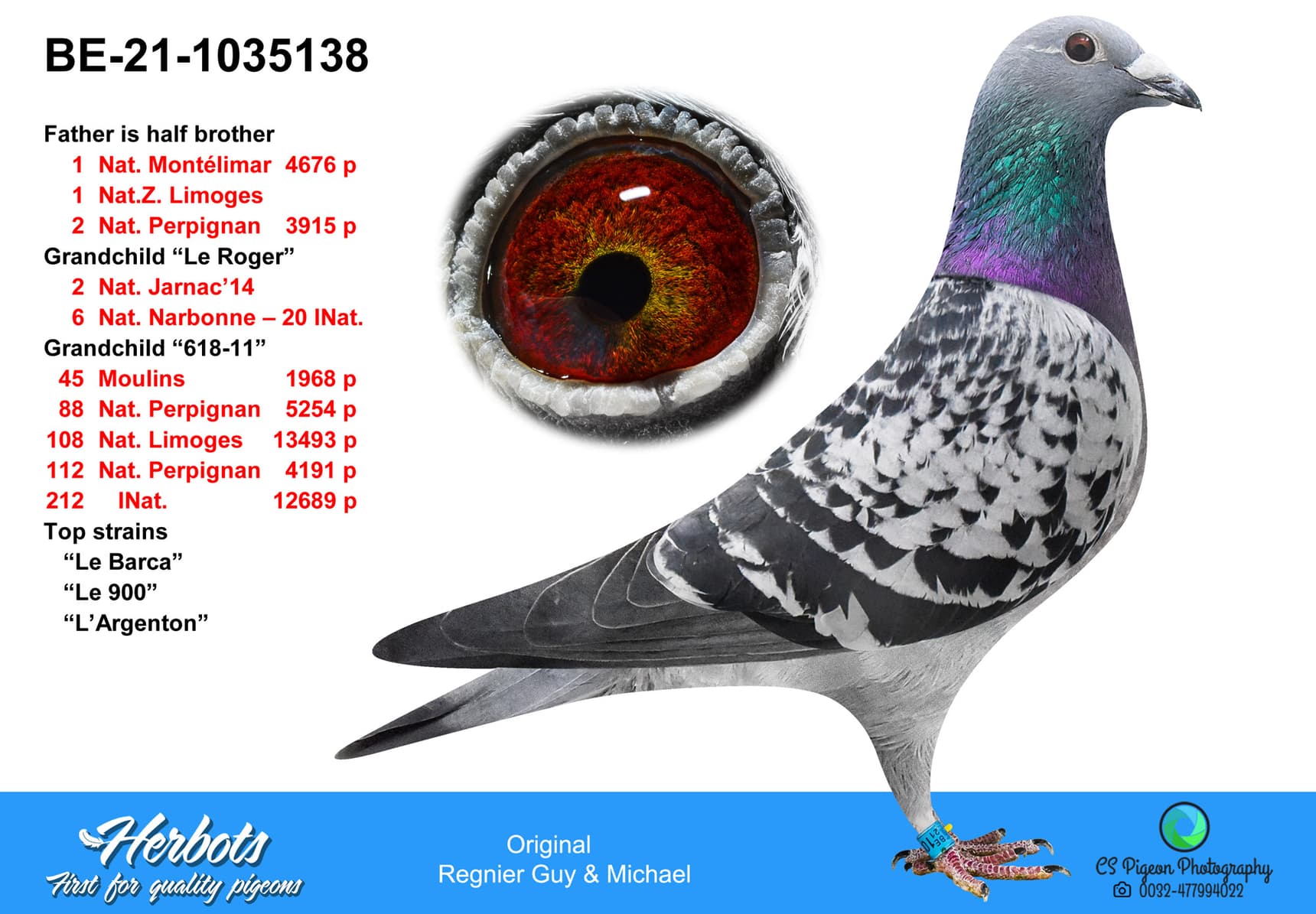 pigeon: undefined