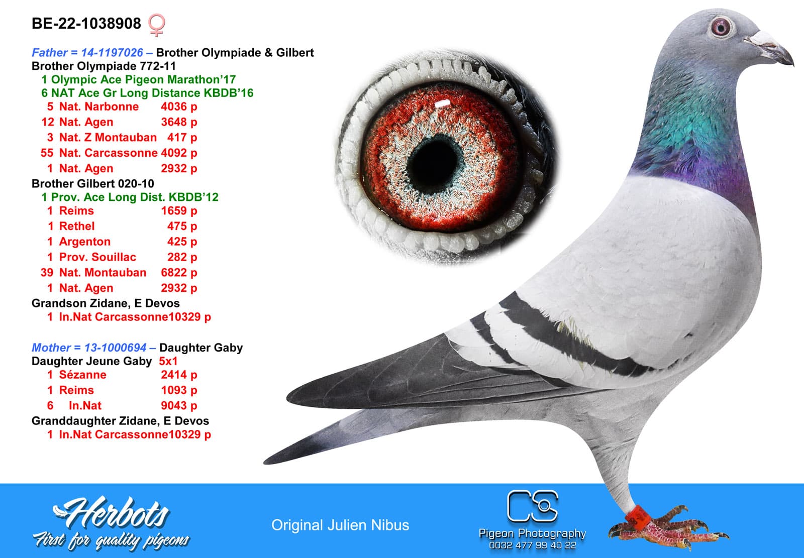 pigeon: undefined