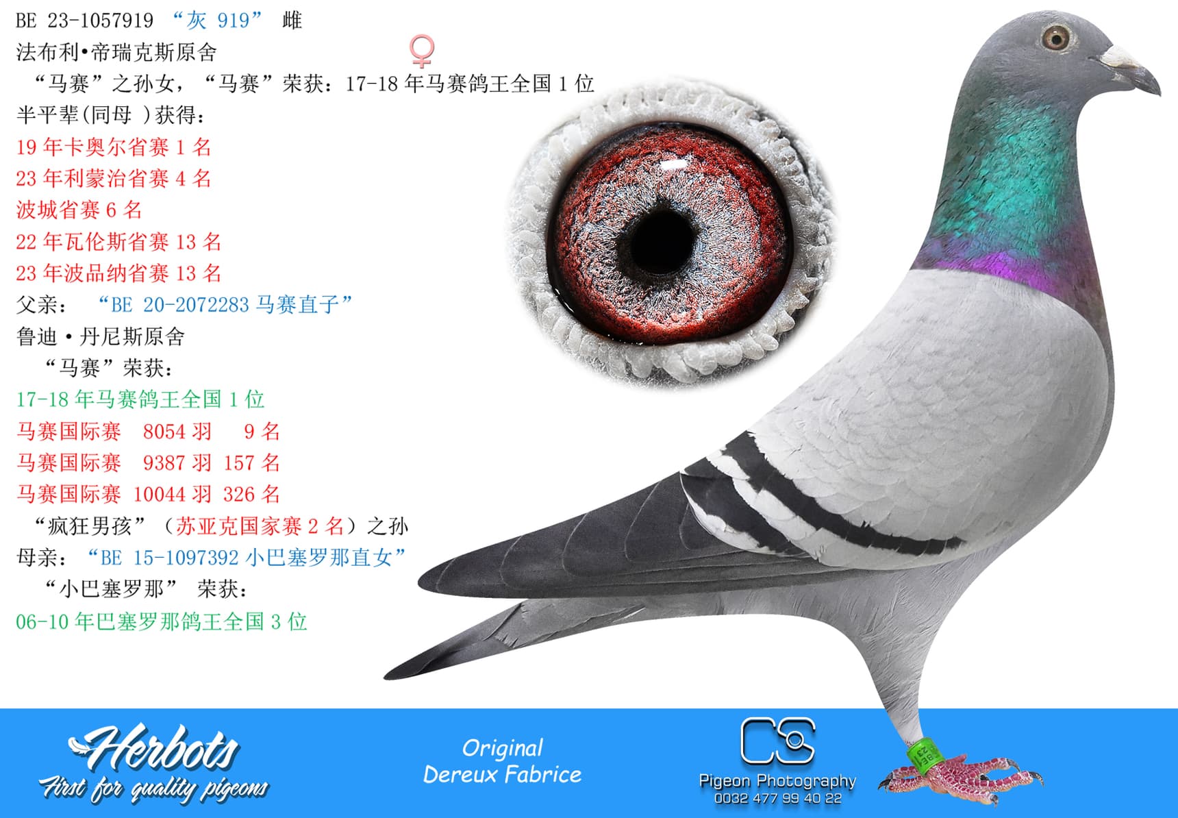 pigeon: undefined