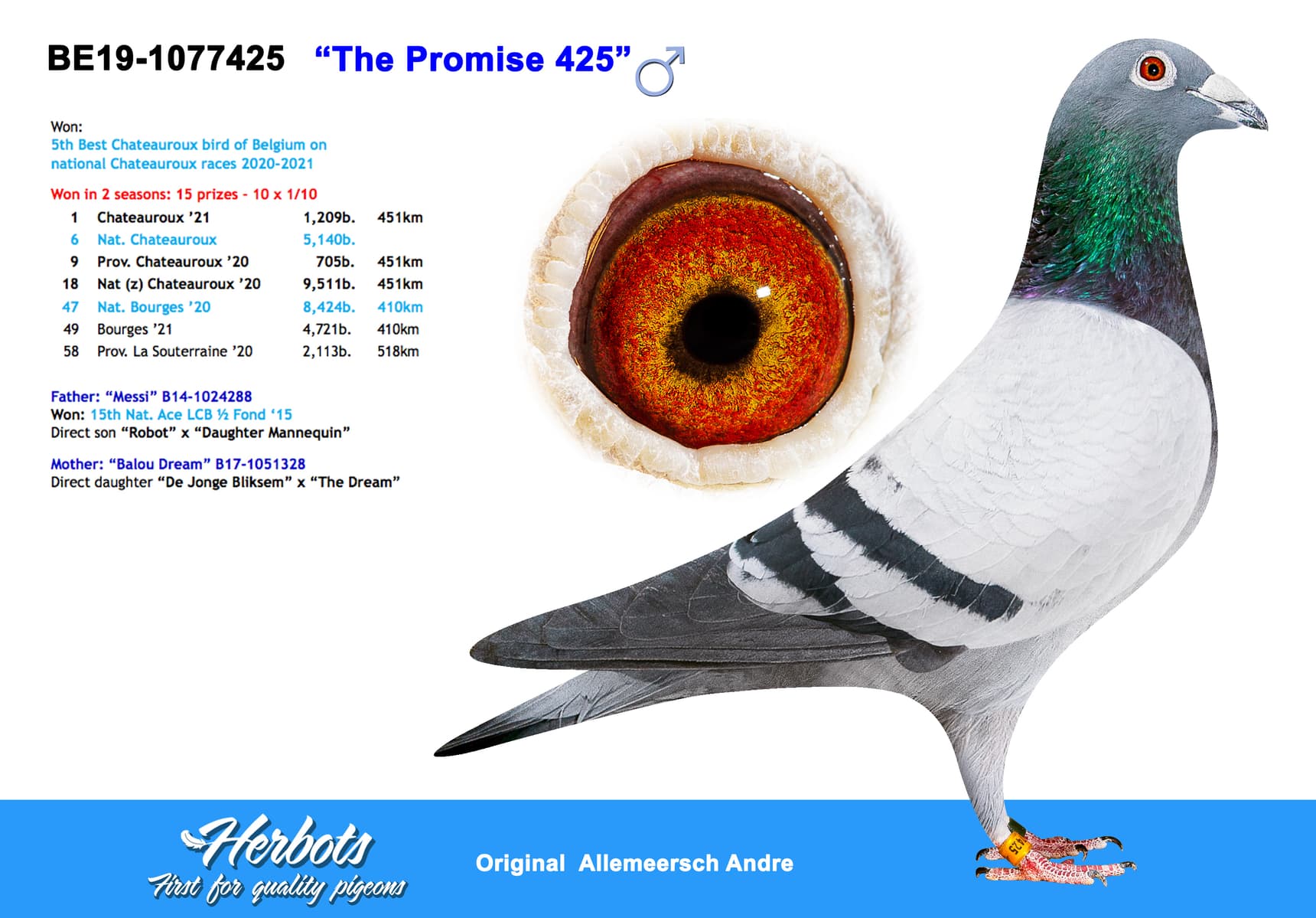 pigeon: undefined