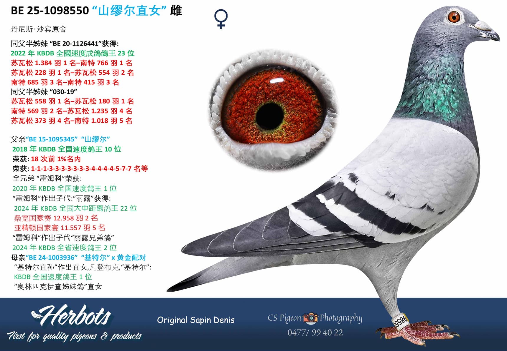 pigeon: undefined