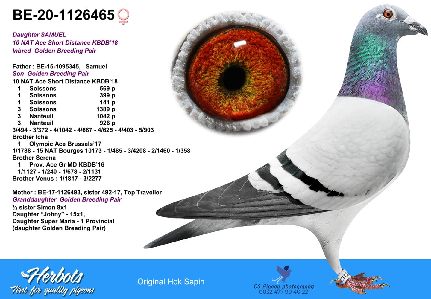 pigeon: undefined