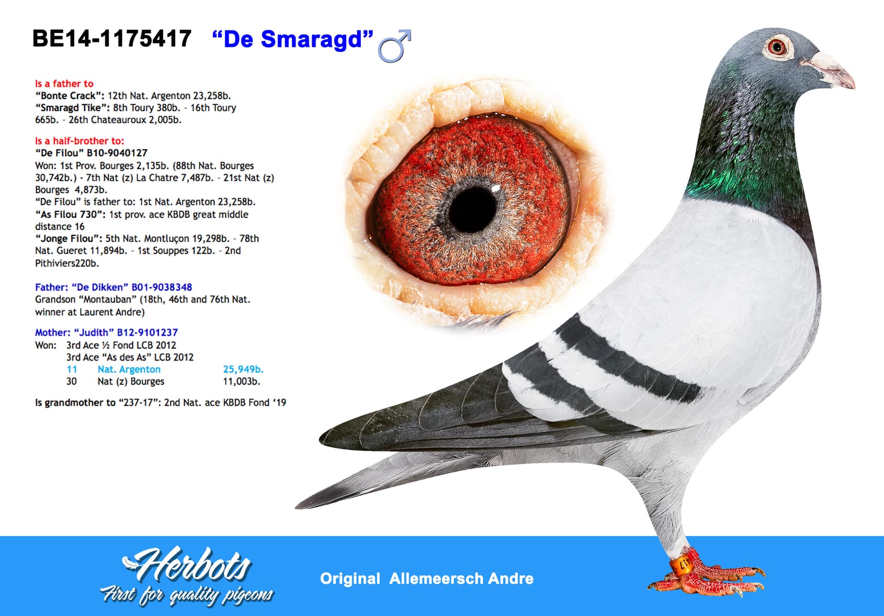 pigeon: undefined