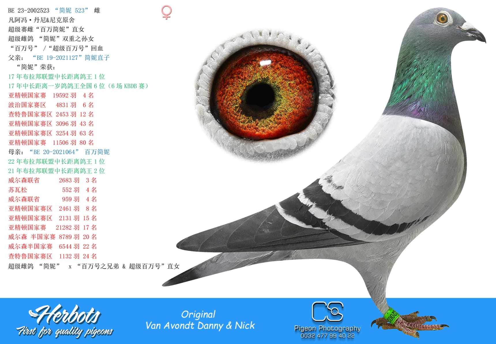 pigeon: undefined