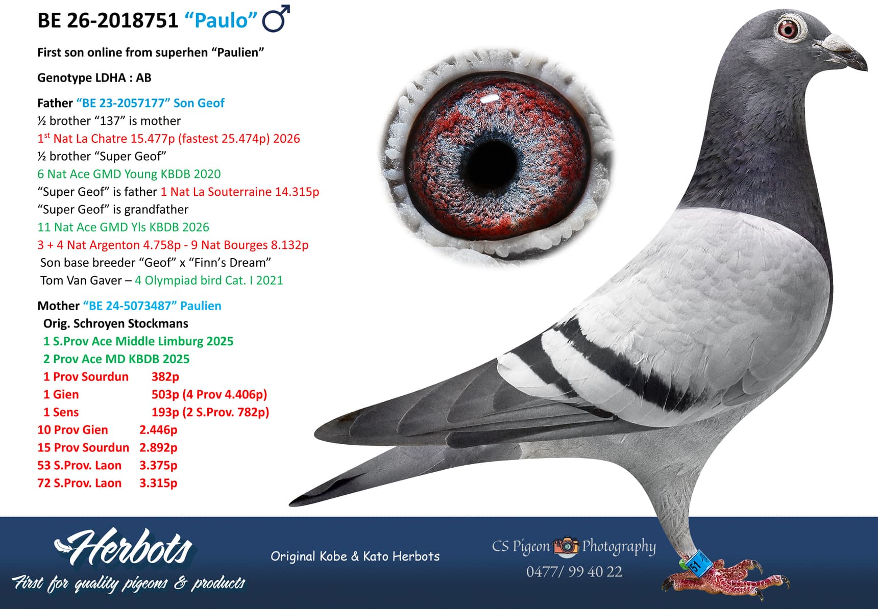 pigeon: undefined
