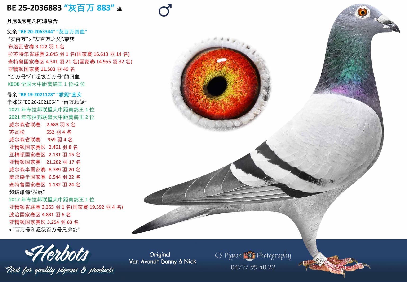 pigeon: undefined