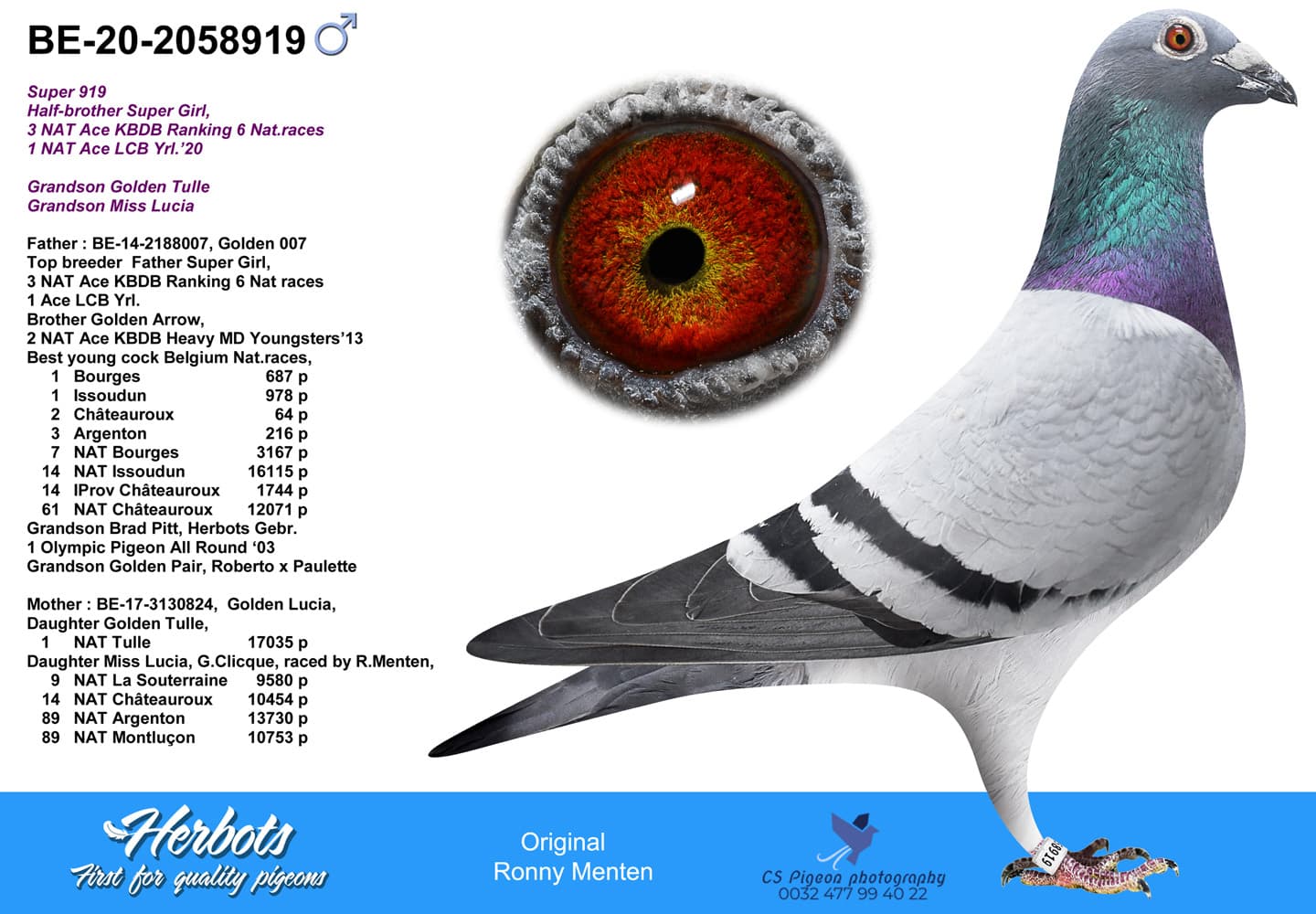 pigeon: undefined