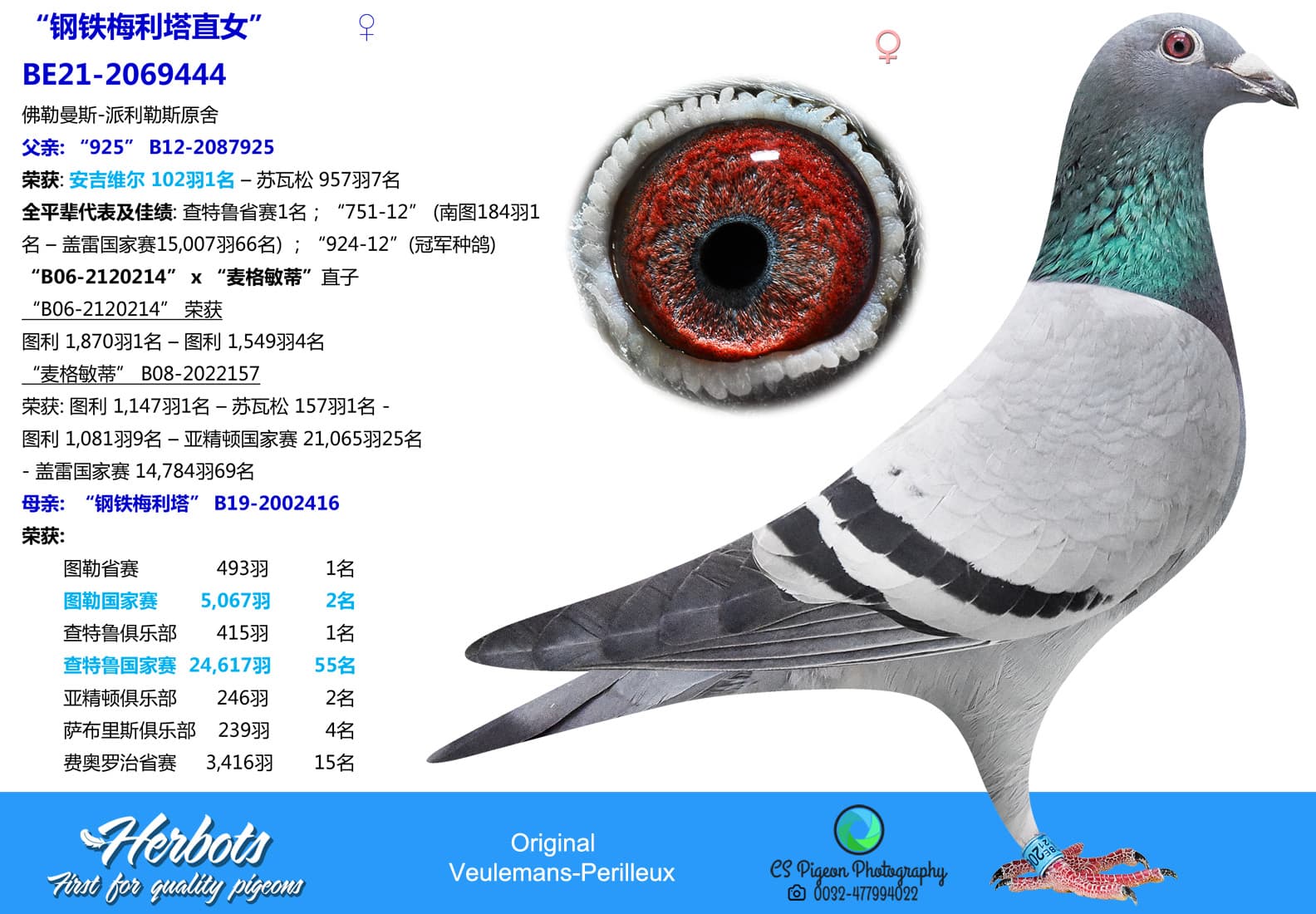 pigeon: undefined