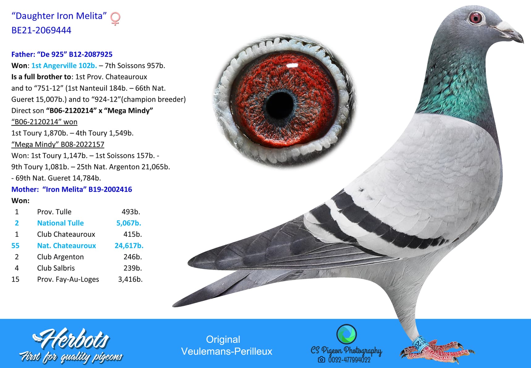 pigeon: undefined