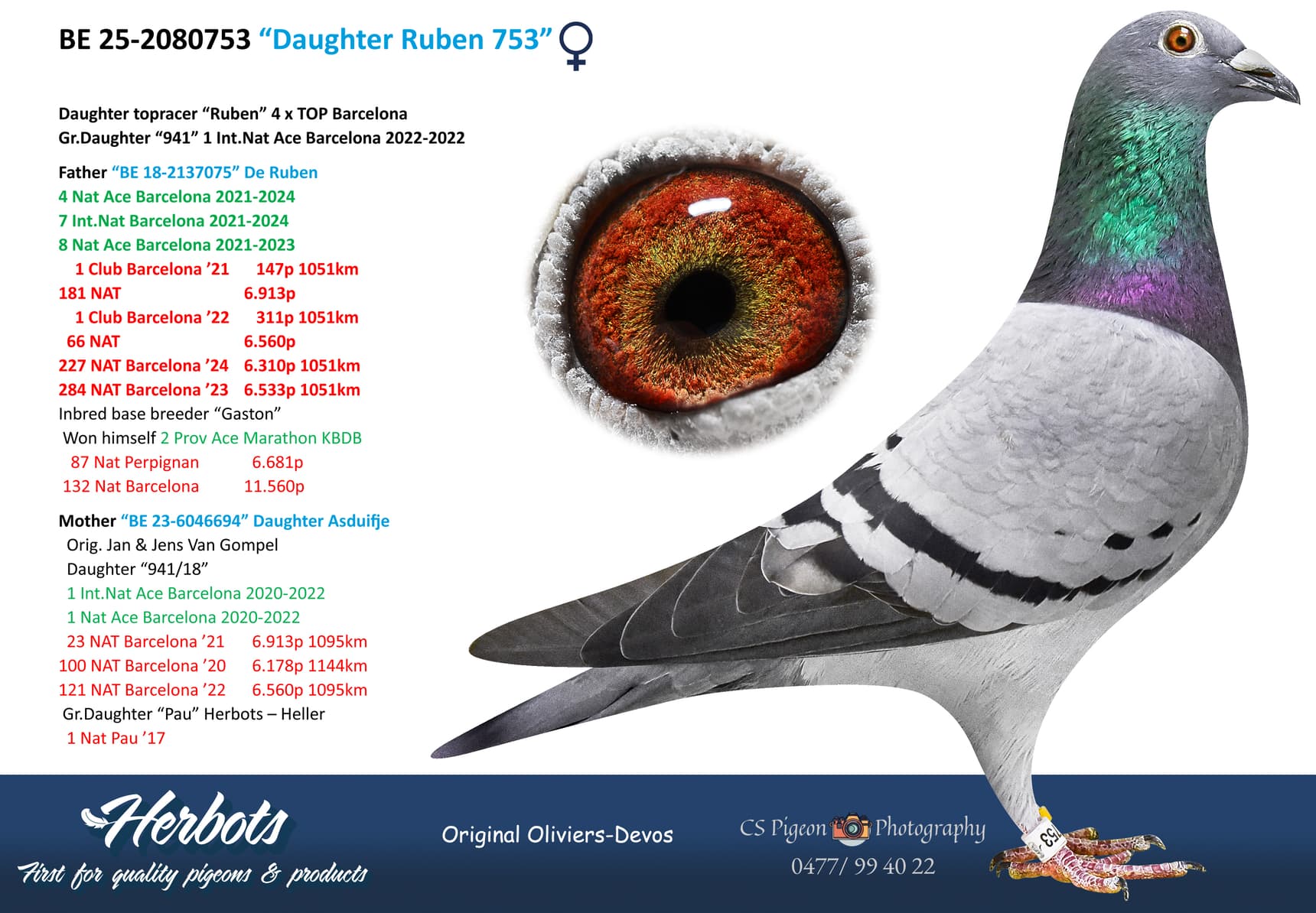 pigeon: undefined
